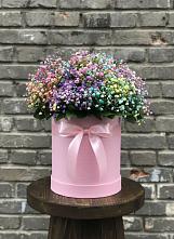 Цветочная композиция из Гипсофила и Розы в шляпной коробке #REPLACE_PRED# Барда