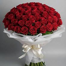 Букет 101 Красная роза Блэк Мэджик в Барда