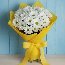 Букет цветов из:  Хризантемы в Барда