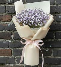 Букет цветов из:  Гипсофила в Барда