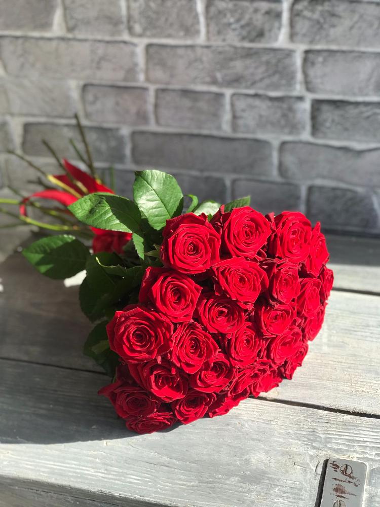 Букет Красные розы Фридом в Барда