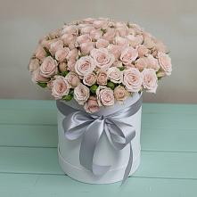 Цветочная композиция из Розы в шляпной коробке #REPLACE_PRED# Барда