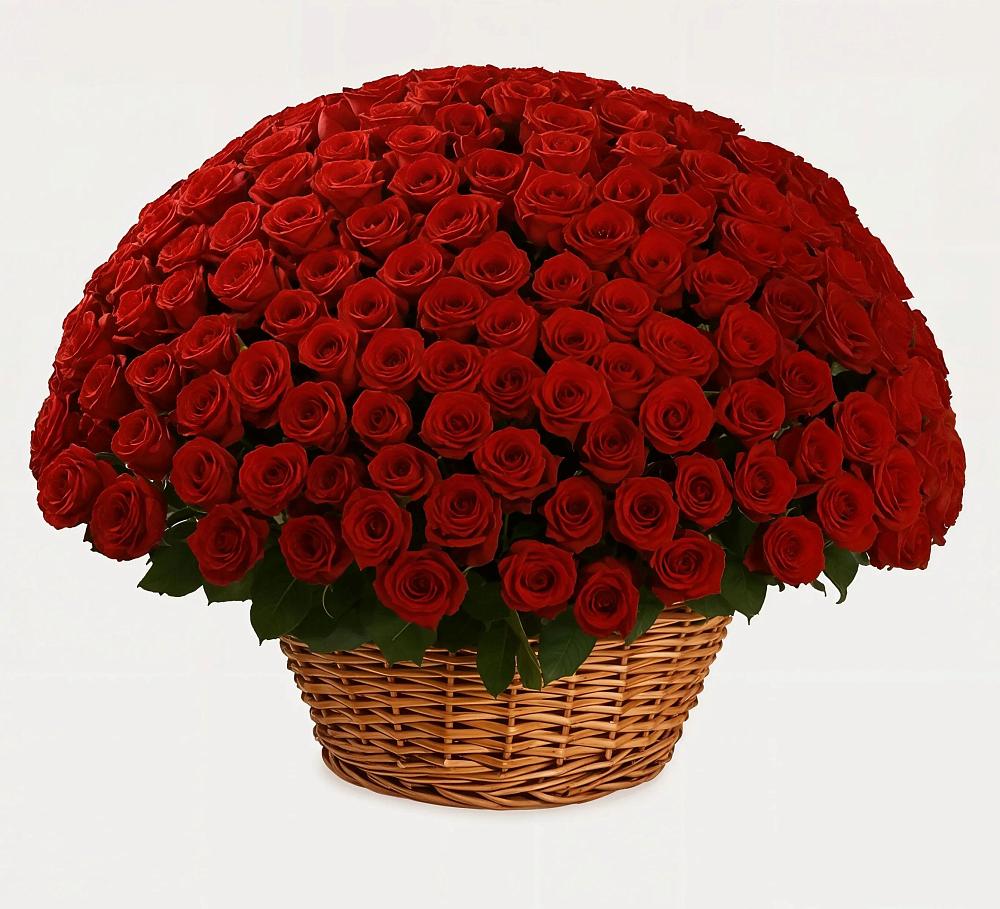 Премиум букет из: Розы в Барда