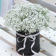Цветочная композиция из Гипсофила в шляпной коробке #REPLACE_PRED# Барда