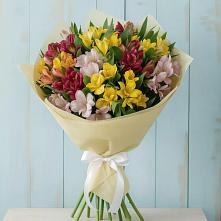 Букет цветов из:  Альстромерии в Барда