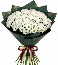 Букет цветов из:  Хризантемы в Барда