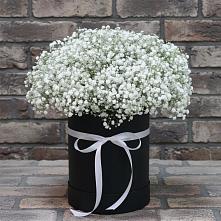 Цветочная композиция из Гипсофила в шляпной коробке #REPLACE_PRED# Барда