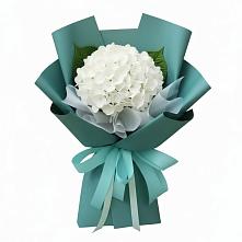 Букет цветов из:  Гортензия #REPLACE_PRED# Барда